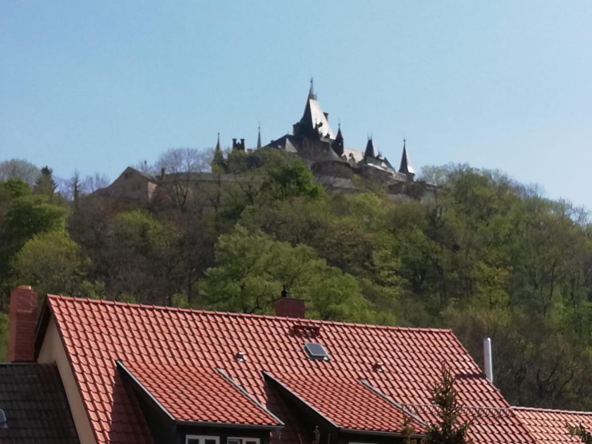 Little Africa Lejlighed Wernigerode Eksteriør billede